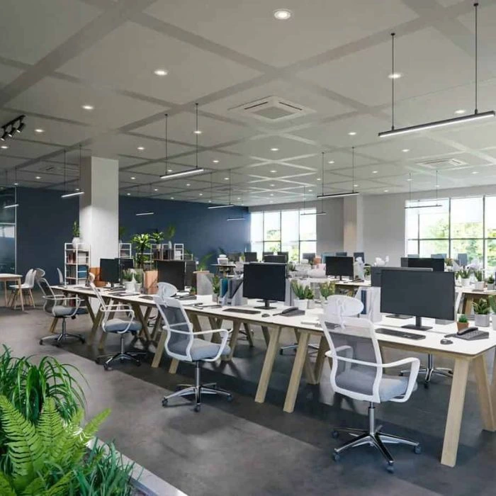Best Office IT Setup Service Provider in Abu Dhabi